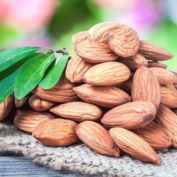 خرید و قیمت مغز بادام درجه یک + فروش عمده